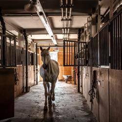 Фото Отель Ой-Карагай Лесная Сказка (Oi-Qaragai)