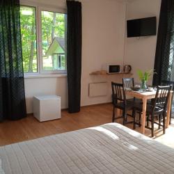 Номер стандарт комфорт с 1 двуспальной кроватью