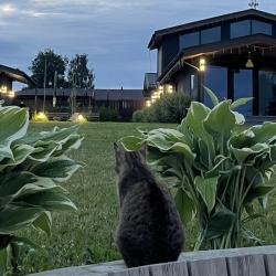 Фото Отель Вилла Ива