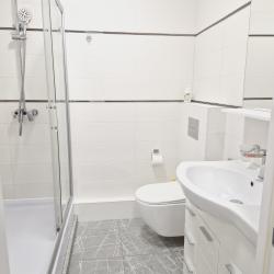 1-комнатные апартаменты стандарт с диваном