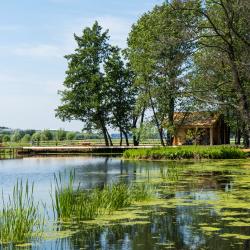 Фото Отель Остров