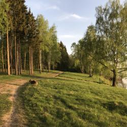Фото Отель Дельфин