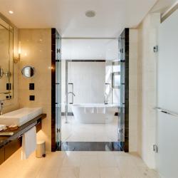 Ридженси Executive Suite