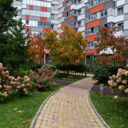 Фото Отель Oazis apart (Оазис апарт) на улице Покатная 122