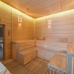 Фото Отель Wellness Hotel and Spa (Велнесс)