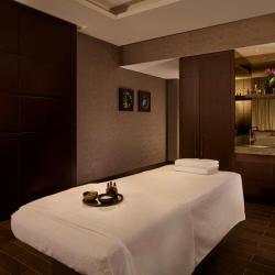 фото 20 Hyatt Regency Moscow Petrovsky Park (Хаятт Ридженси Москва Петровский Парк)