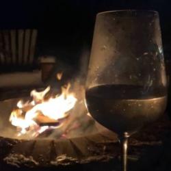 Фото Отель Лес и Луга