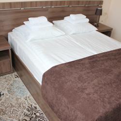 Фото Отель Ока