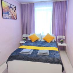 Фото Апартаменты ApartKZN на улице Вишневского 61