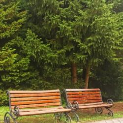 Фото Отель Энергетик