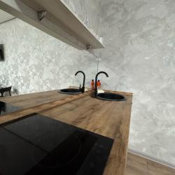 1-комнатные апартаменты студия №1