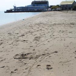 Фото Отель Гостевой дом Номера на пляже