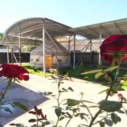 Фото Apple hostel (Эппл хостел)