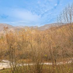 Фото Отель Воронцовская дача