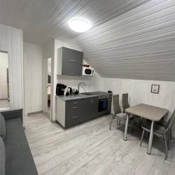 Фото Отель Дома на Хвойной