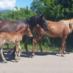 Фото Отель База отдыха Страна души