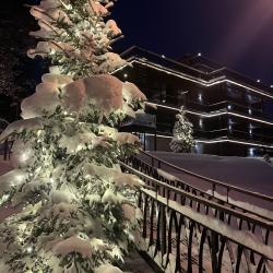 Фото Отель Северный сад