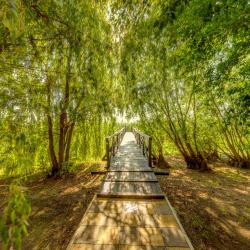 Фото Отель Остров Колочный