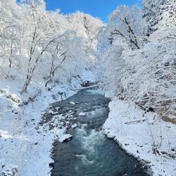 Фото Отель Каштан