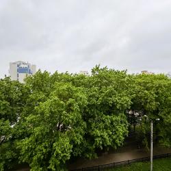 1-комнатные апартаменты улучшенные Right Room на Поле Свободы д.129