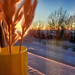 Фото Отель SeveRent на бульваре Приморский 12