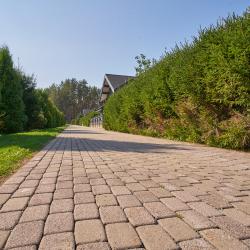 Фото Отель Davinci Park (Давинчи Парк)
