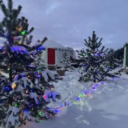 Бурятская юрта