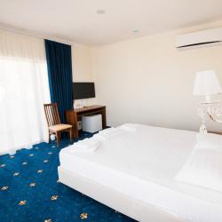 Номер люкс улучшенный с 1 двуспальной кроватью