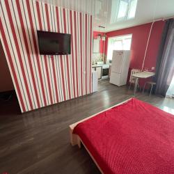 1-комнатные апартаменты студия Красноармейская 133