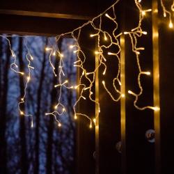 Фото Отель Forrest Home (Форрест Хоум)