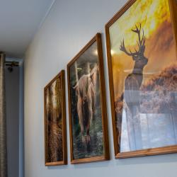 1-комнатные апартаменты стандарт