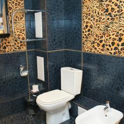 Фото Отель Виконда