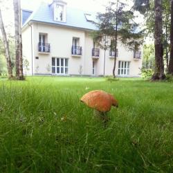 Фото Отель Лафер Ренессанс