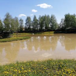 Фото Отель Гостевой дом Окулова Заимка