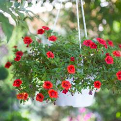 Фото Отель Большая Медведица