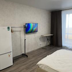 Фото Апартаменты на Светлогорском переулке 10Г