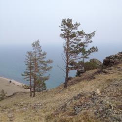 Фото Отель Байкал-кэмп