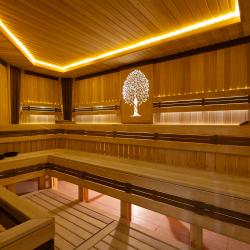 Фото Отель Shamsan Airport Hotel (Шамсан Аэропорт)