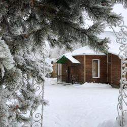 Русский лес — e0f98319be250e27b82c22d9c34c0027