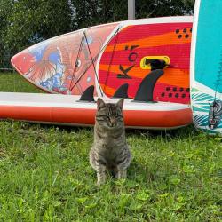 Коттедж стандарт