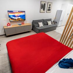 Апартаменты студия