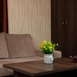 Номер делюкс с 1 двуспальной кроватью