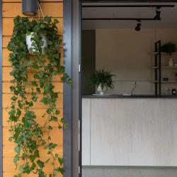 Фото Отель Green Point (Грин Поинт)