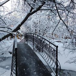 Фото Отель Усадьба Еловое