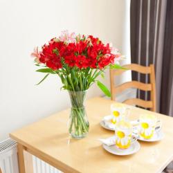 Фото Отель Тизори