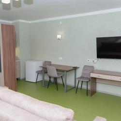 Фото Отель Пушкиногорье