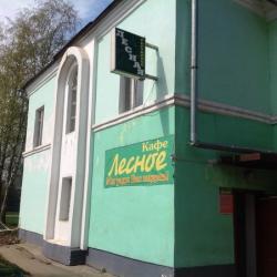 Фото Отель Лесная