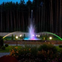 Фото Отель Сосновый бор