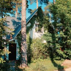 Коттедж Финский