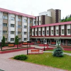 Фото Отель Борус